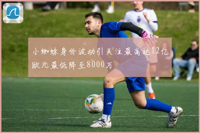 小蜘蛛身价波动引关注最高达12亿欧元最低降至8000万