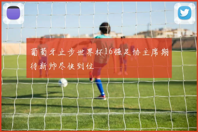 葡萄牙止步世界杯16强足协主席期待新帅尽快到位